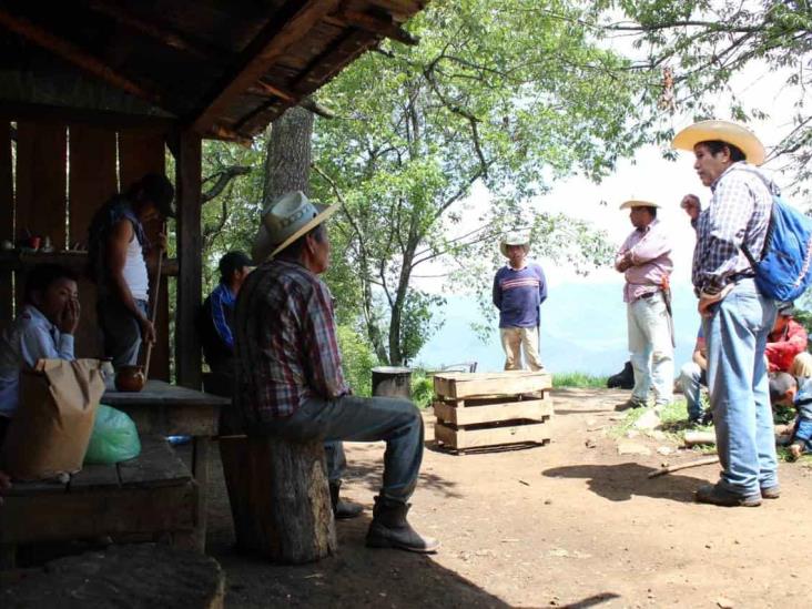 Entregan semilla mejorada a campesinos de Ciudad Mendoza