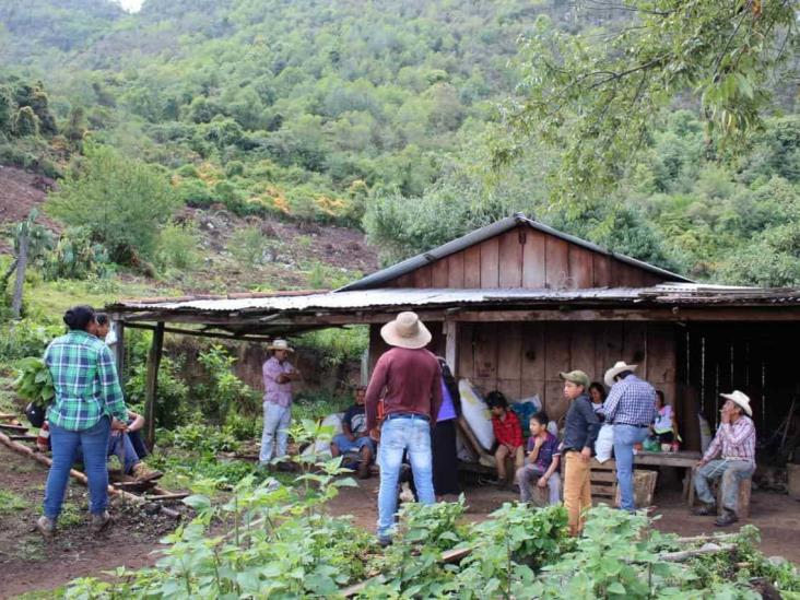 Entregan semilla mejorada a campesinos de Ciudad Mendoza