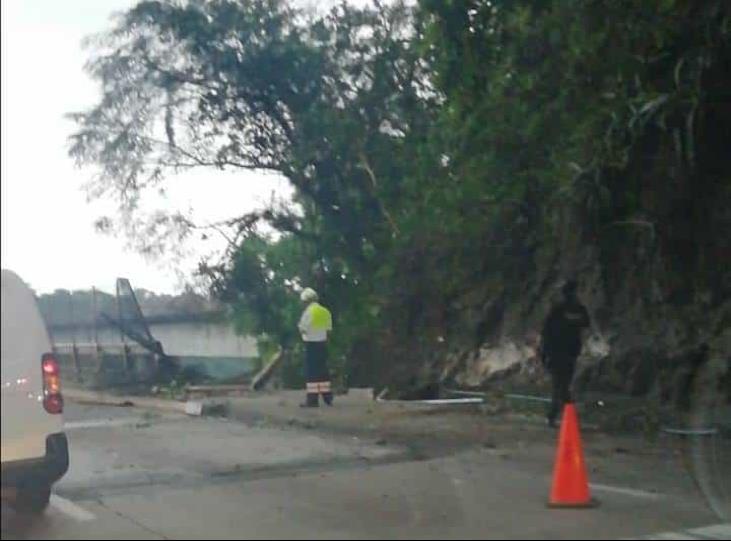 Identifican cuerpo de trailero que murió en el barranco del Metlac