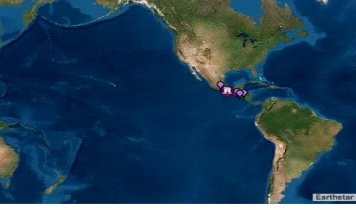 Alerta de tsunami en costas de México y Centroamérica por fuerte temblor