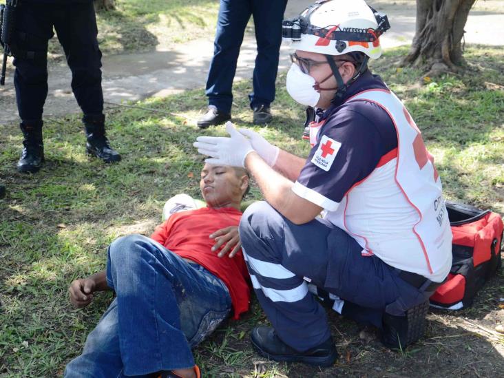 Por cortar par de cocos, joven se cae de palmera en fraccionamiento de Veracruz