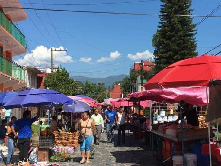 Entregan caretas, cubrebocas y gel antibacterial a tianguistas en Xalapa