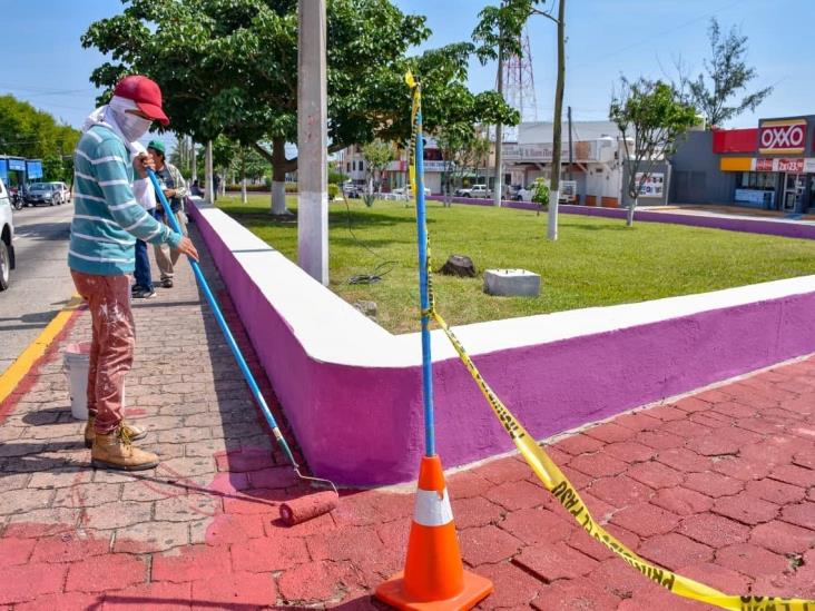 Rehabilita Ayuntamiento camellones y jardineras de Avenida Independencia