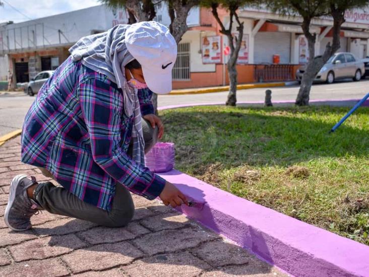 Rehabilita Ayuntamiento camellones y jardineras de Avenida Independencia