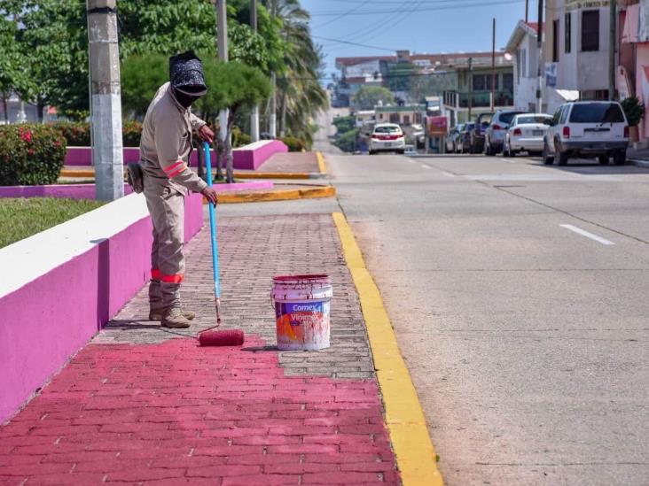 Rehabilita Ayuntamiento camellones y jardineras de Avenida Independencia