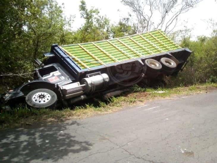 Tras perder control del volante vuelca camión cargado de pollos