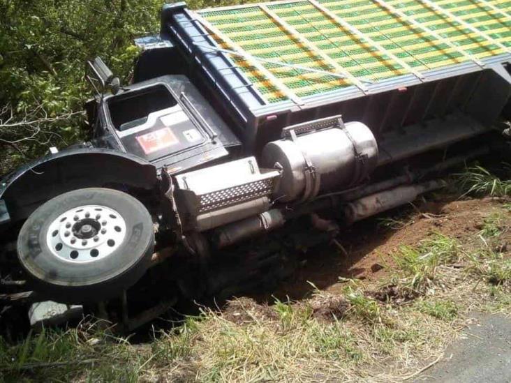 Tras perder control del volante vuelca camión cargado de pollos