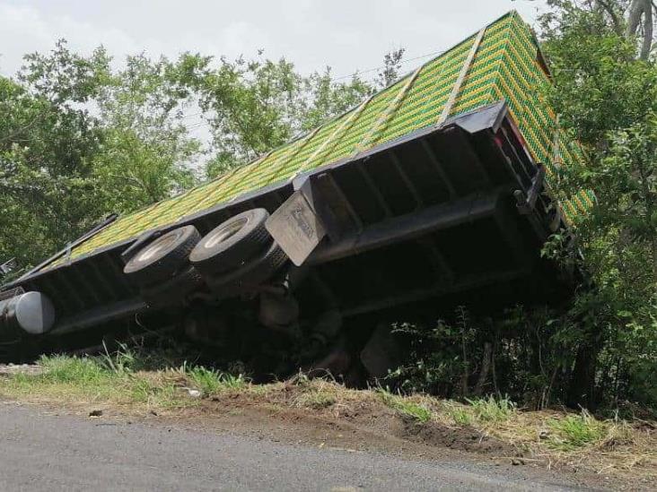 Tras perder control del volante vuelca camión cargado de pollos