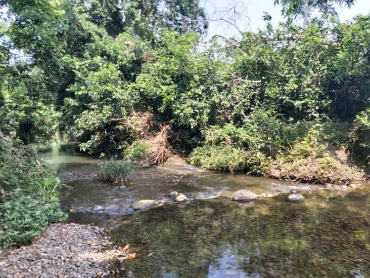 Encuentran cuerpo en estado de descomposición en Martínez de la Torre