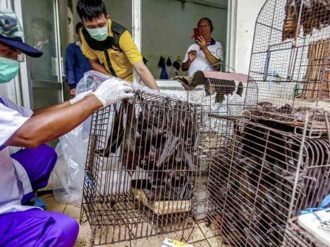 China busca eliminar sacrificio de aves vivas en mercados