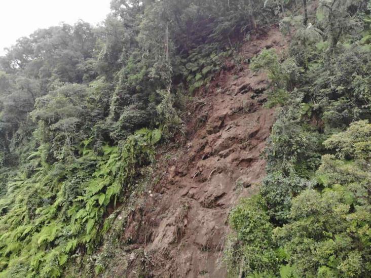 Tractocamion cae a Barranco de 200 metros en Atzalan