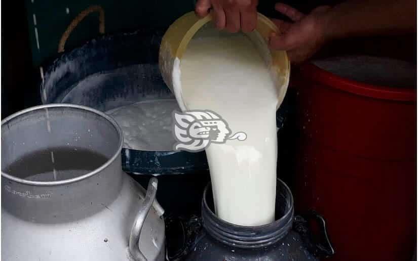 Lecheros de Las Choapas padecen por constantes apagones 