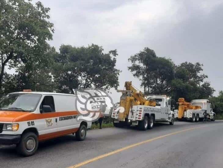 Tractocamion cae a Barranco de 200 metros en Atzalan