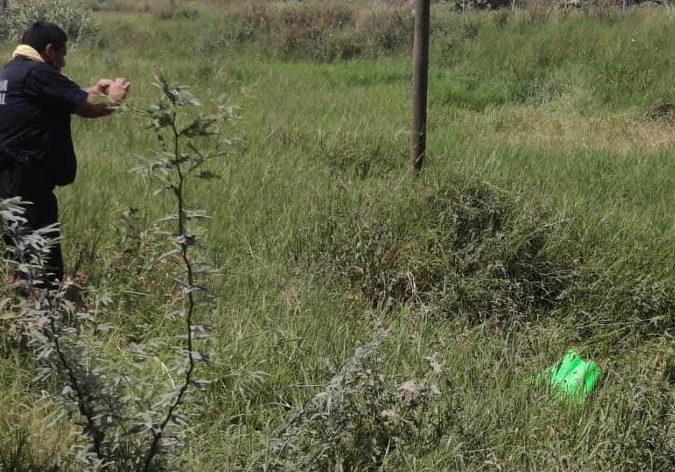 Encuentran cabeza cercenada a un costado de la carretera federal Álamo-Tihuatlán