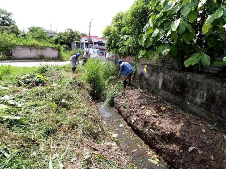 Intensifican saneamiento de zanjas en Tuxpan