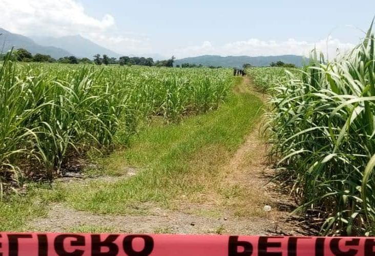 Entre cañales de Cuichapa hallan a anciano muerto