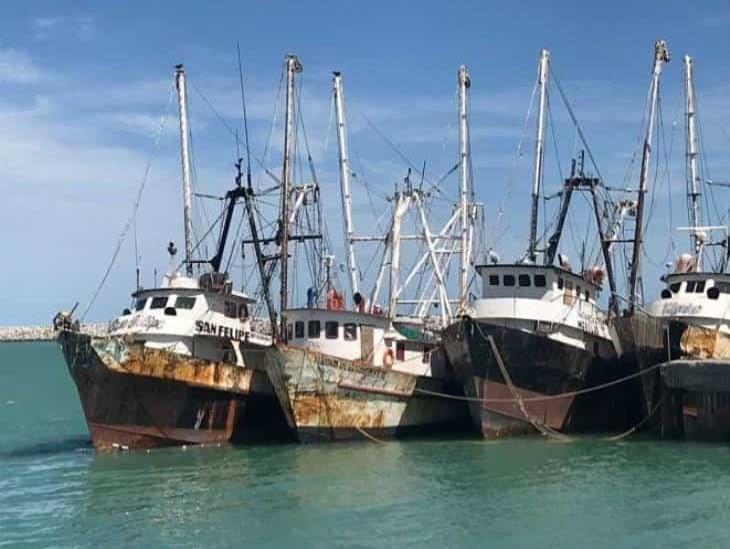 Busca México evitar embargo pesquero en hábitat de vaquita marina