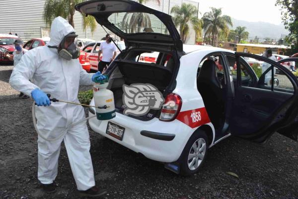 Orizabeños buscan más los servicios de desinfección