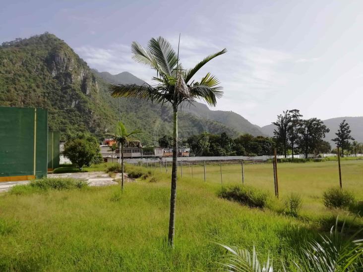 Se alarga conflicto por construcción de Universidad del Bienestar en Río Blanco