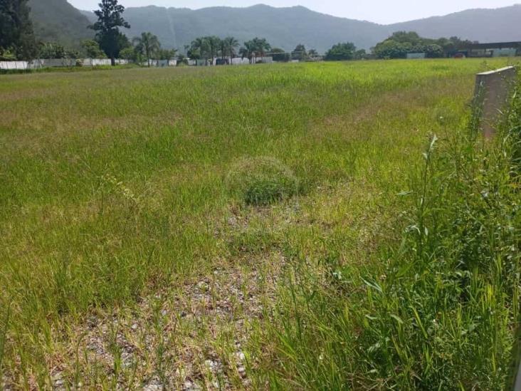 Se alarga conflicto por construcción de Universidad del Bienestar en Río Blanco