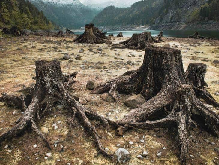 Sobregiran la naturaleza