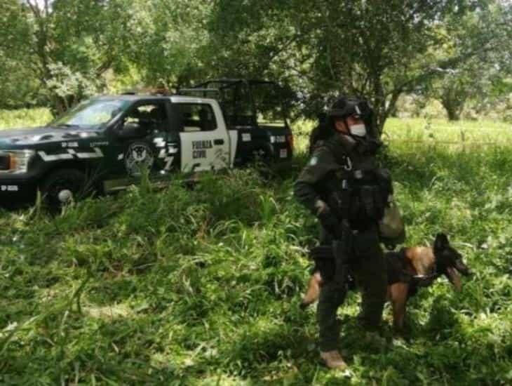 Se suma SSP a labores de búsqueda en fosas clandestinas de Playa Vicente