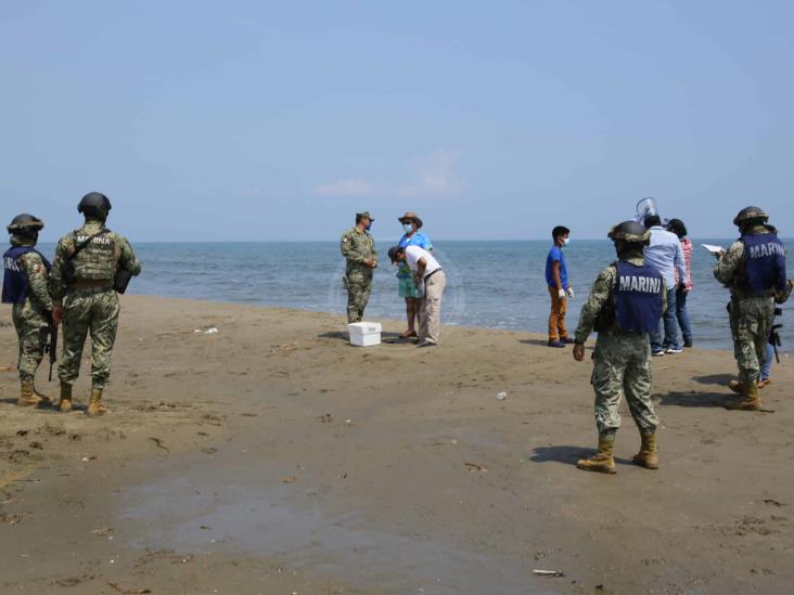 Profepa libera a 18 tortugas Lora en playas de Coatzacoalcos