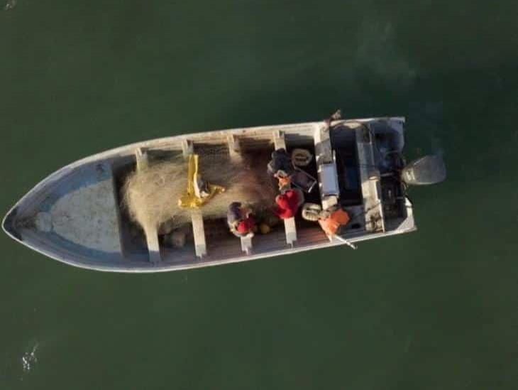 Prohibirán redes de enmalle en hábitat de vaquita marina