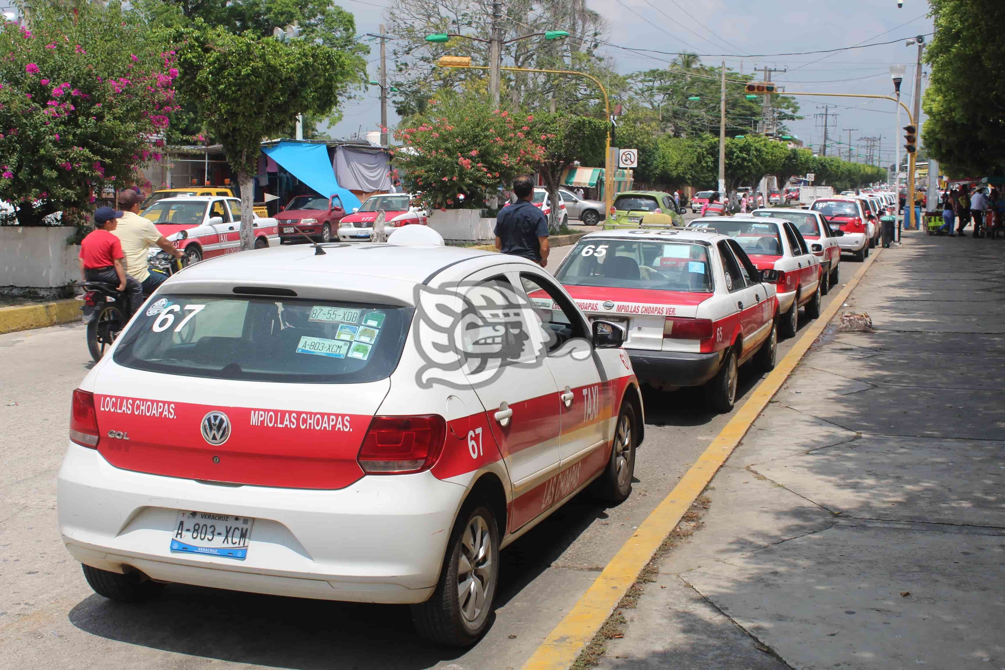 Sin apoyos, taxistas choapenses buscan resistir al Coronavirus