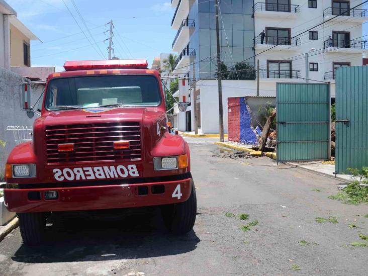 Lluvias en puerto de Veracruz deja como saldo un árbol caído y varios daños