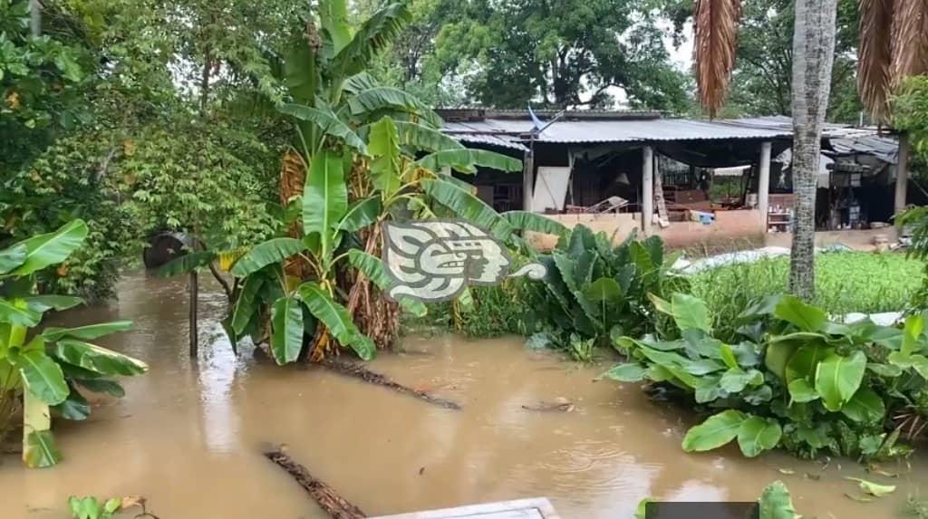 Se inundan vecinos de la colonia Tacoteno tras fuerte lluvia