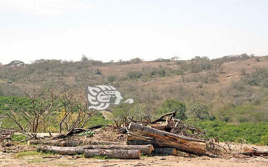 Territorio de México, con menos sequía tras lluvias