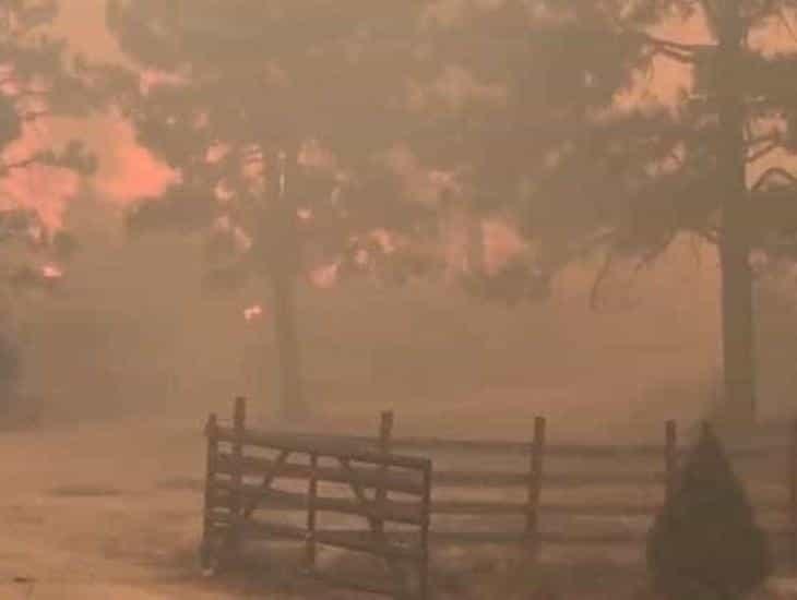 Incendio forestal en Sierra de Juárez ha consumido 2 mil 500 hectáreas