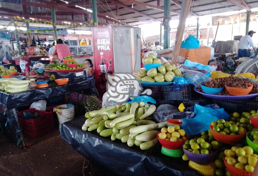 A mínima capacidad trabaja la Plazoleta campesina