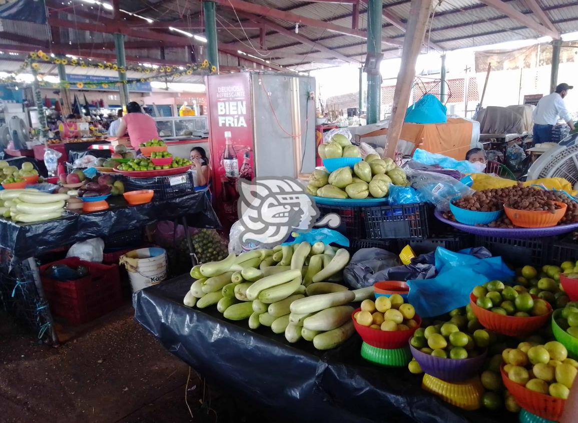 A mínima capacidad trabaja la Plazoleta campesina