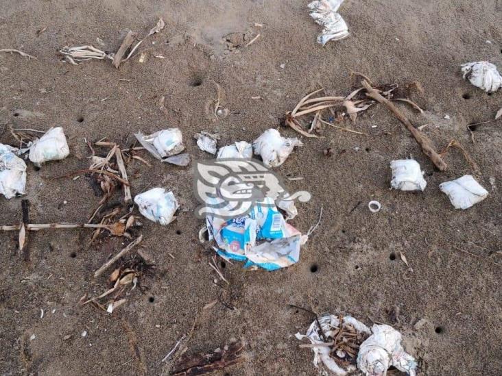 Dejan basura regada en playas del poniente de Coatzacoalcos