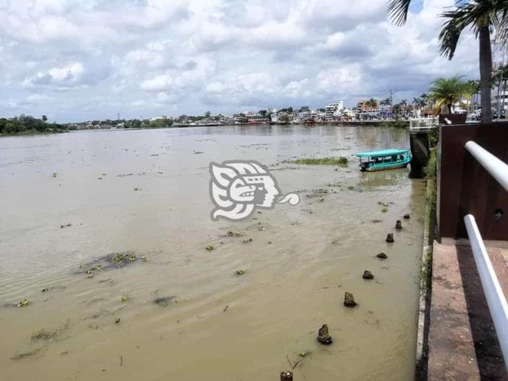 Río Tuxpan, por debajo de niveles de riesgo