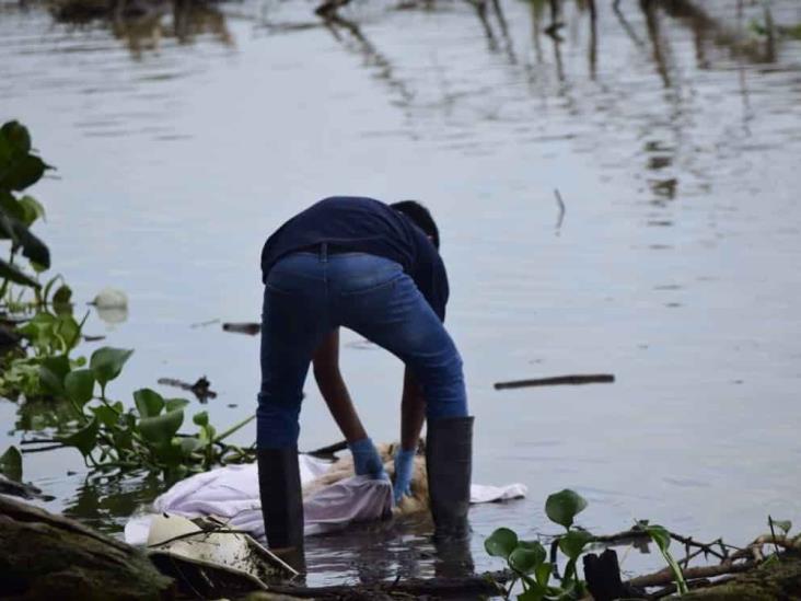 Encuentran restos en Río Jamapa