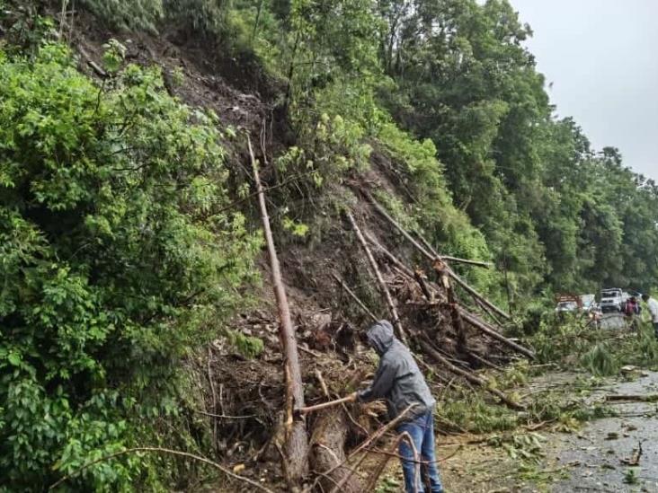 Deslizamiento provoca cierre de carretera federal Orizaba-Zongolica