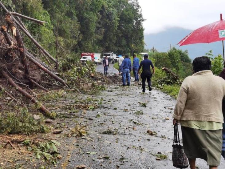 Deslizamiento provoca cierre de carretera federal Orizaba-Zongolica