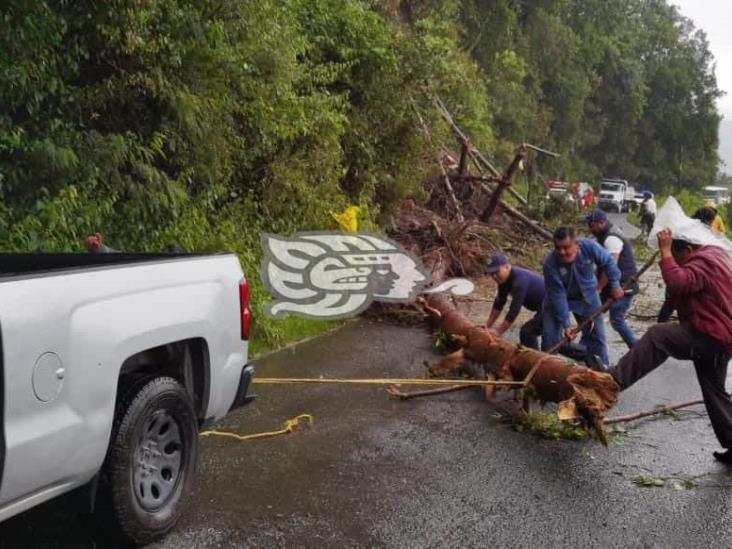 Deslizamiento provoca cierre de carretera federal Orizaba-Zongolica