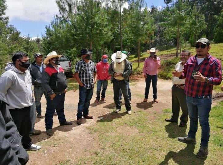 Una realidad, autodefensas en Veracruz, advierten