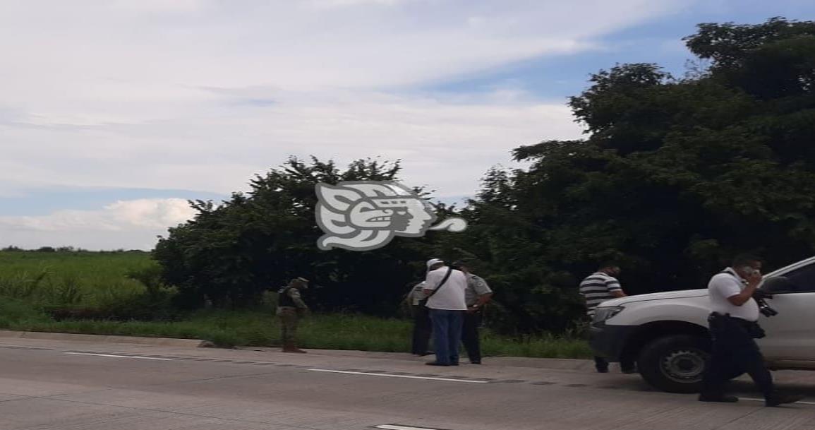 Hallan cuerpo embolsado sobre la Córdoba-Veracruz