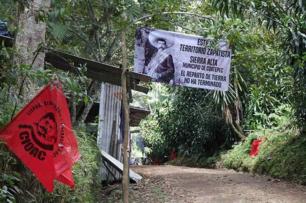 Llama AMLO a resolver deslinde en bosque de niebla de Veracruz