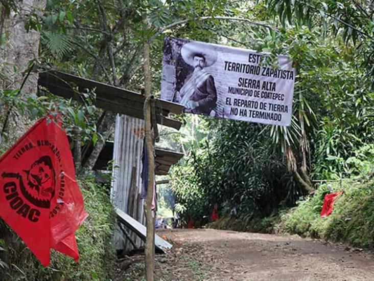 Llama AMLO a resolver deslinde en bosque de niebla de Veracruz