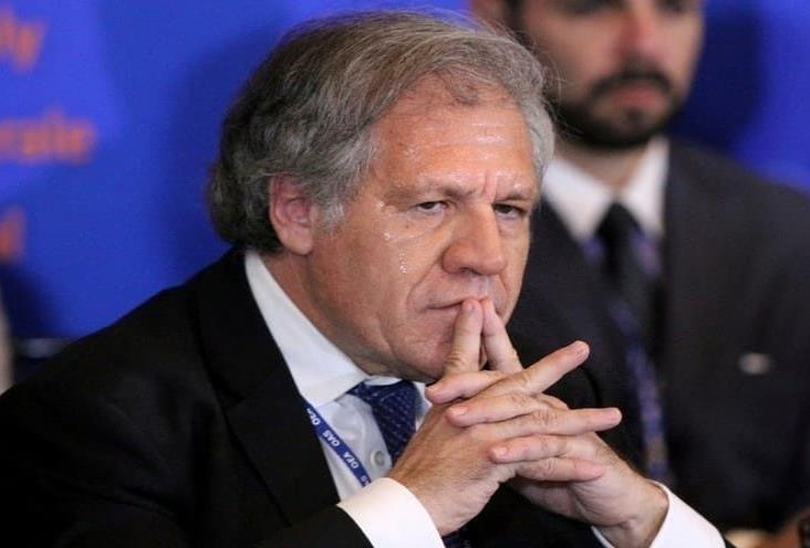 Argentina inconforme con la OEA por no renovar al titular de la CIDH