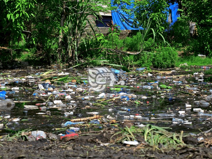 Reforzarán limpieza de canales en Coatza para evitar inundaciones