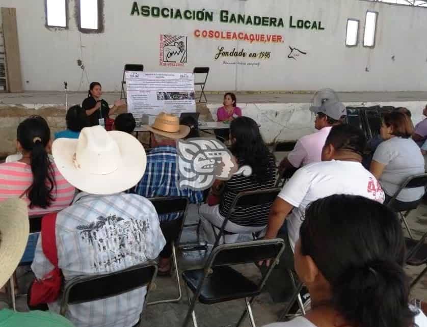 Ganaderos de Cosoleacaque solicitan protección de SSP