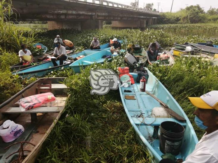 Lirio en más de 5 kilómetros frena labores de pesca