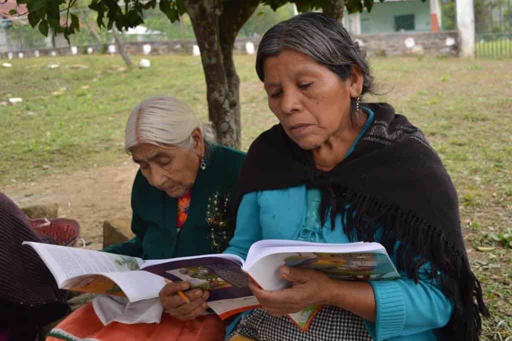 Analfabetismo en Veracruz, con rostro femenino: IVEA